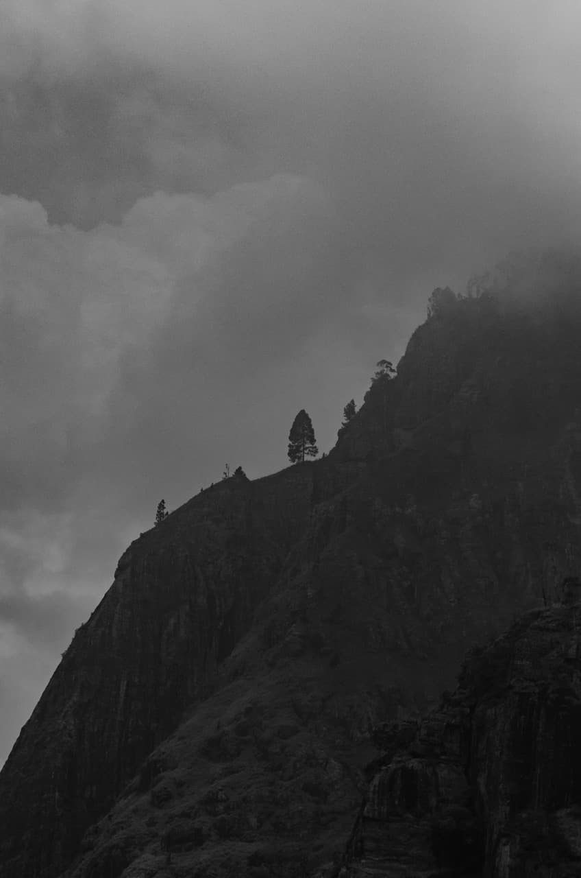 Превью Sri Lanka 2022